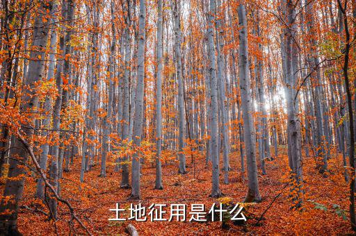 什么是土地報(bào)征，什么是征集土地