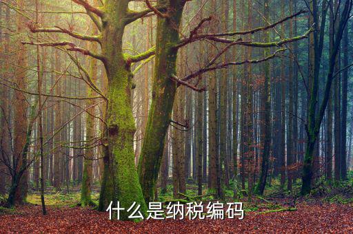什么是納稅登記編碼，什么是納稅編碼
