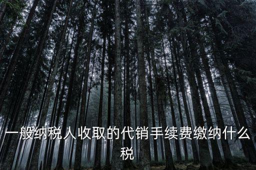 代理服務費交什么稅，一般納稅人收取的代銷手續(xù)費繳納什么稅