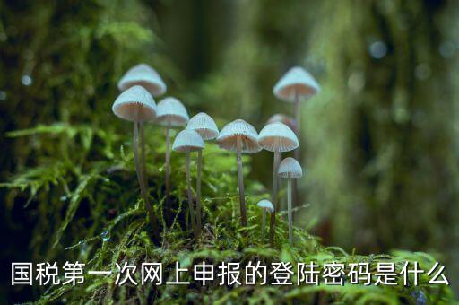 國稅登記密碼是什么，國稅第一次網(wǎng)上申報的登陸密碼是什么