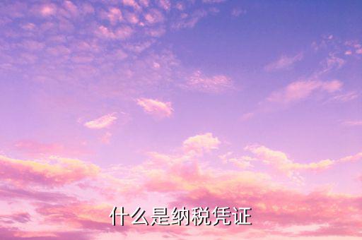 增值稅納稅憑證是什么，什么是納稅憑證