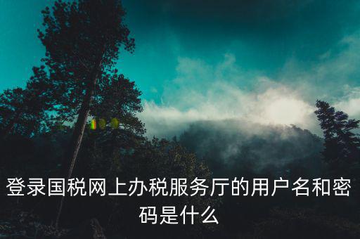 電子稅務(wù)局登錄密碼是什么，國稅第一次網(wǎng)上申報的登陸密碼是什么