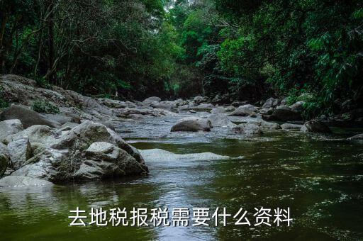 報(bào)地稅所需要什么條件，地稅報(bào)稅需要什么資料