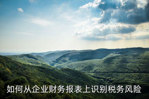 稅務風險核查是什么意思，虛開增值稅專用發(fā)票核查 什么意思