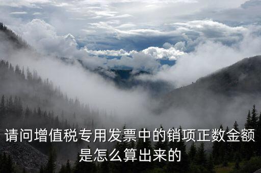 銷項正數(shù)金額是什么意思，銷項正數(shù)金額銷項負廢金額銷項負數(shù)金額是什么意