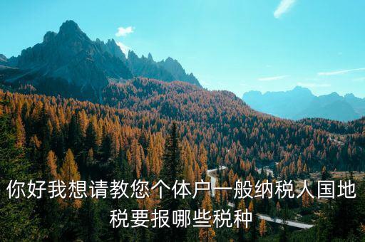 你好我想請(qǐng)教您個(gè)體戶(hù)一般納稅人國(guó)地稅要報(bào)哪些稅種