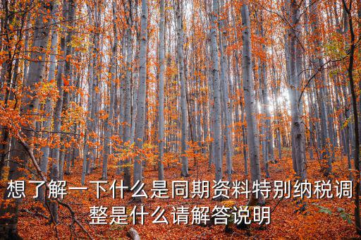什么是特別納稅調(diào)整監(jiān)控管理階段，想了解一下什么是同期資料特別納稅調(diào)整是什么請解答說明