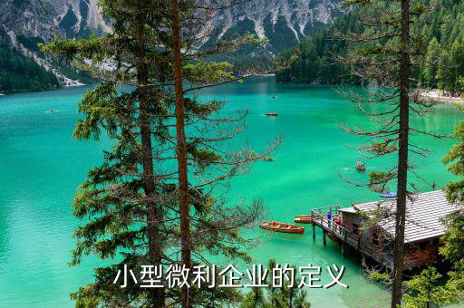 什么叫小型微型企業(yè)，什么叫微小企業(yè)