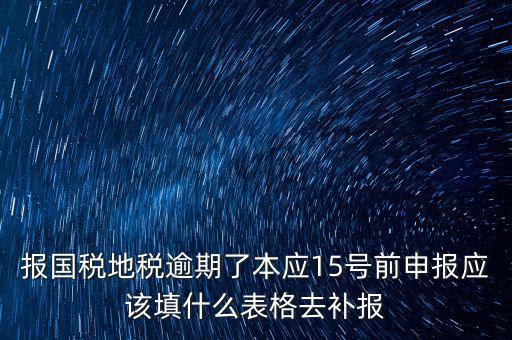 補錄國地稅信息都錄什么，報國稅地稅逾期了本應(yīng)15號前申報應(yīng)該填什么表格去補報