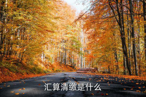 匯算清繳查賬都查什么，稅務(wù)局要對(duì)我司進(jìn)行匯算清繳后的查帳包括費(fèi)用帳成本帳往來(lái)帳