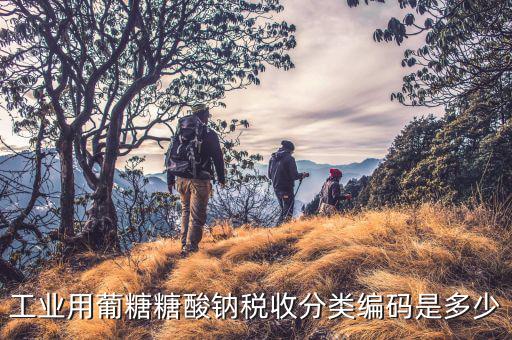 稅收分類編碼選擇錯誤的是什么，家用墻壁開關(guān)在稅收分類編碼里屬于哪類