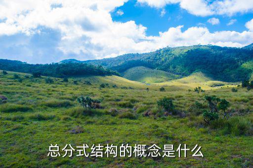 總分機(jī)構(gòu)標(biāo)志是什么意思，總分機(jī)構(gòu)納稅人是什么意思