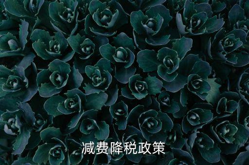 做好6項(xiàng)減稅政策的內(nèi)容是什么，減費(fèi)降稅政策