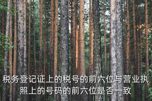 稅號前六位代表什么，納稅識別號前六位數(shù)為140111是什么意思