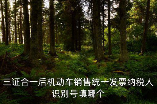 統(tǒng)一納稅識(shí)別號(hào)是什么，三證合一后機(jī)動(dòng)車銷售統(tǒng)一發(fā)票納稅人識(shí)別號(hào)填哪個(gè)