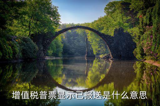 什么是報(bào)送報(bào)告，什么是報(bào)送審計(jì)