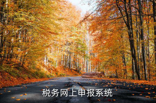 什么是稅收網(wǎng)報軟件，稅務(wù)網(wǎng)上申報系統(tǒng)