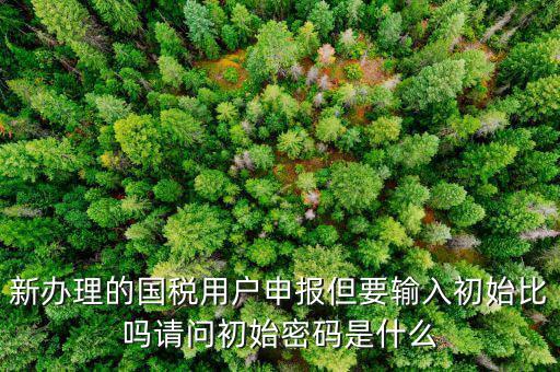 初始申報(bào)密碼是什么，小關(guān)稅務(wù)所 新企業(yè) 網(wǎng)上納稅申報(bào)初始密碼是什么