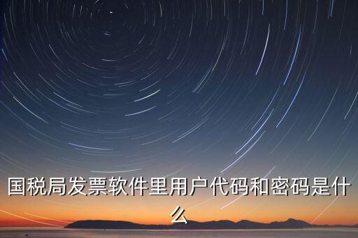 發(fā)票代碼 號(hào)碼 密碼是什么樣的，國(guó)稅局發(fā)票軟件里用戶代碼和密碼是什么