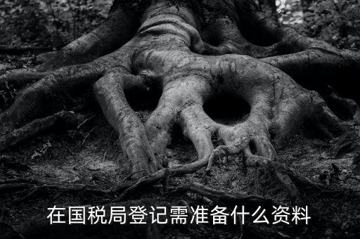 稅務(wù)登記備什么，在國稅局登記需準(zhǔn)備什么資料