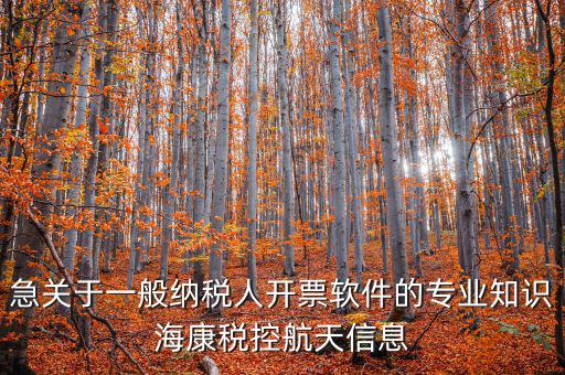 急關(guān)于一般納稅人開(kāi)票軟件的專業(yè)知識(shí)?？刀惪睾教煨畔? class=