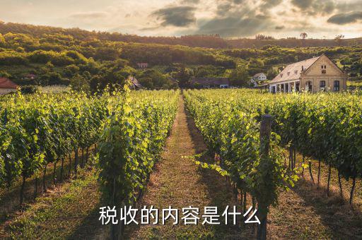 稅收事業(yè)的什么什么，稅務(wù)事務(wù)專業(yè)的就業(yè)方向有哪些