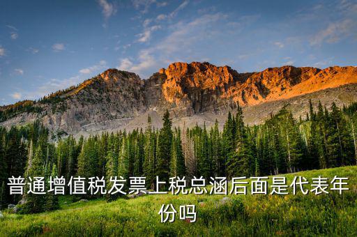 稅總涵2016代表什么意思，稅總財行便函201616號保險公司開具保險發(fā)票車船稅只在備注