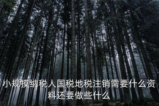 國地稅注銷需要什么，小規(guī)摸納稅人國稅地稅注銷需要什么資料還要做些什么