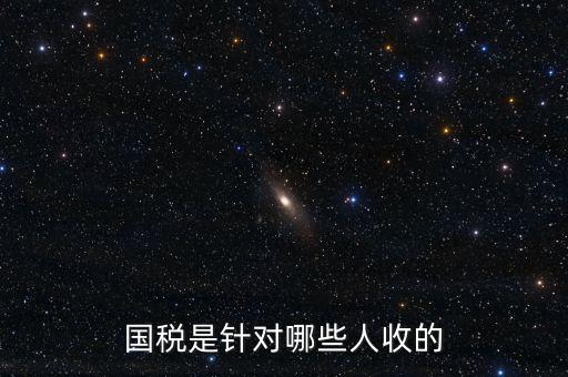 國稅都有什么人才庫，國稅有哪幾種