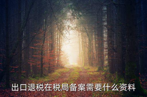 出口退稅備份什么格式，出口退稅單證備案