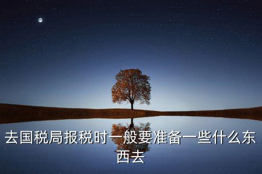 去國(guó)稅局都是帶什么東西，去國(guó)稅定稅要帶哪些東西啊我暈倒了以前從來(lái)沒(méi)定過(guò)