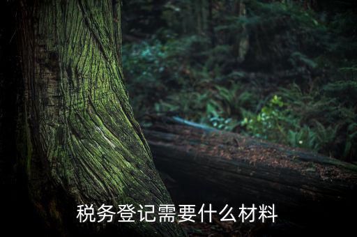 稅務(wù)辦理需要什么東西，辦理稅務(wù)登記證都需要帶什么東西