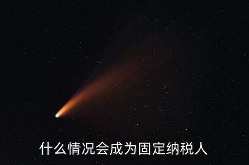 什么是固定納稅人，什么是定額納稅人