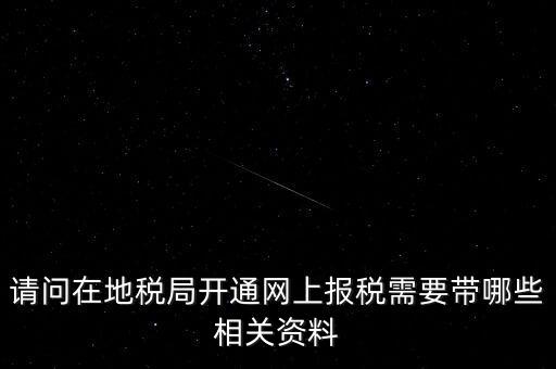 網(wǎng)上申報地稅需要什么，一般納稅人網(wǎng)上申報地稅上要報哪些稅