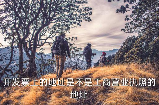 開票地址是什么，有沒有公文說開票的地址是填寫注冊(cè)地還是經(jīng)營(yíng)地址