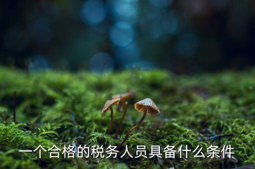 什么是合格的稅務(wù)人員，怎樣做一個合格的稅務(wù)工作者