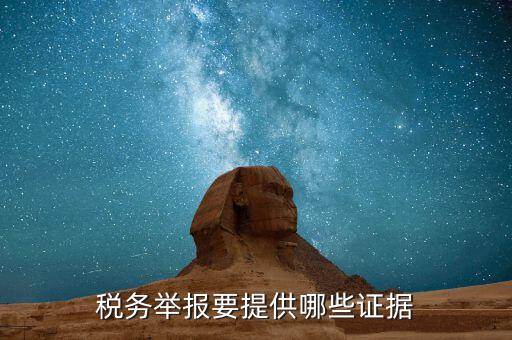 稅務舉報要提供哪些證據