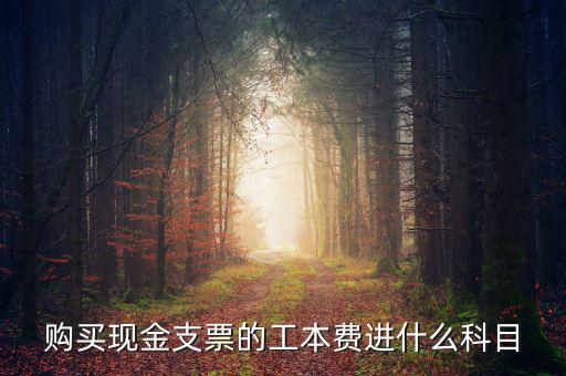 發(fā)票工本費(fèi)什么科，買(mǎi)支票的工本費(fèi)和手續(xù)費(fèi)分別進(jìn)什么科目