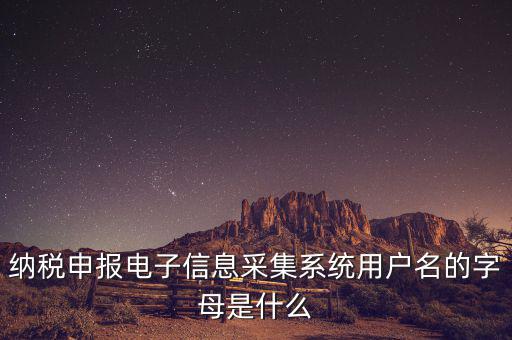 納稅人用戶編號(hào)是什么，地稅的用戶名是什么