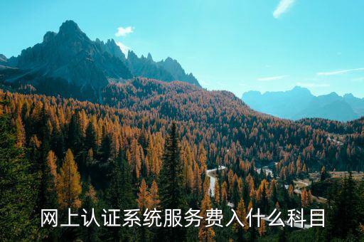 網(wǎng)上認證服務(wù)費是什么，網(wǎng)上認證系統(tǒng)服務(wù)費入什么科目