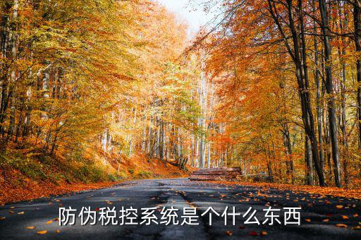 防偽稅控一體化什么時候，營改增后漢字防偽企業(yè)抄報稅時需要使用什么設備