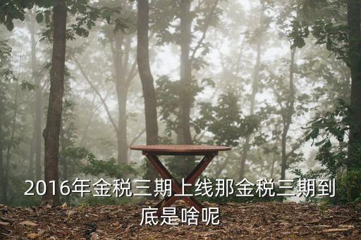 金稅三期具體什么意思，金稅三期是什么意思