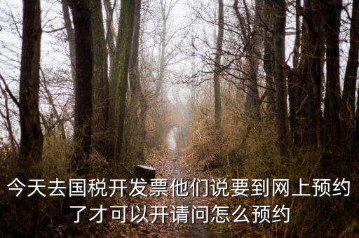 國稅預(yù)約的是什么，拿金稅盤去國稅前臺弄要預(yù)約嗎