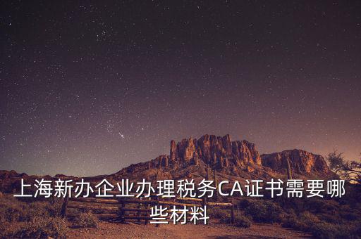 2014年7月份上海稅務(wù)局還需要審什么證，上海新辦企業(yè)辦理稅務(wù)CA證書(shū)需要哪些材料
