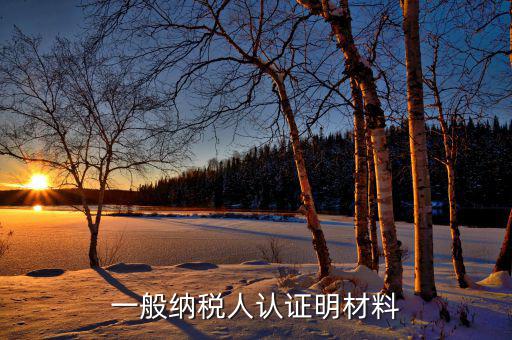 認證一般納稅人的要什么資料，一般納稅人認證明材料