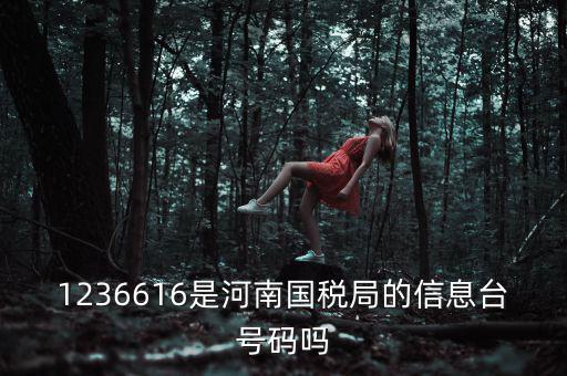河南省國(guó)家稅務(wù)局賬號(hào)是什么，登錄國(guó)稅網(wǎng)上辦稅服務(wù)廳的用戶名和密碼是什么