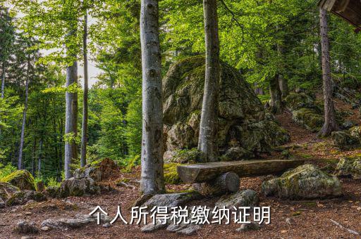 個人稅務(wù)證明是什么，什么是個人納稅證明
