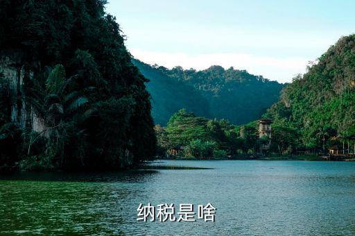 什么叫納稅，什么是納稅 六年級數學