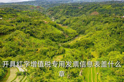 發(fā)票章什么樣子，開具紅字增值稅專用發(fā)票信息表蓋什么章