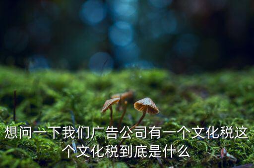 什么是稅務(wù)文化，和諧地稅文化的內(nèi)涵應(yīng)包括哪些方面